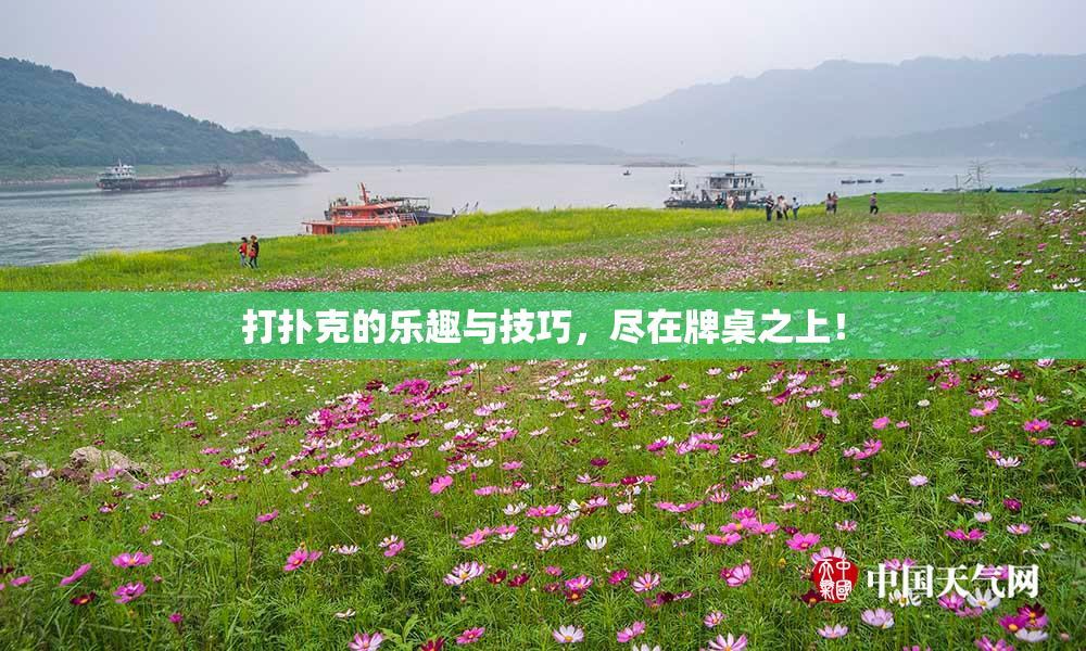 打扑克的乐趣与技巧，尽在牌桌之上！