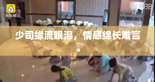 少司缘流眼泪，情感绵长难言。
