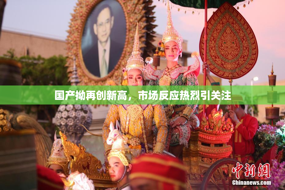 国产拗再创新高，市场反应热烈引关注