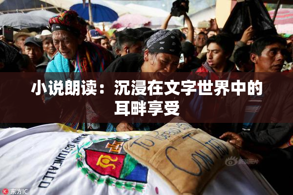 小说朗读：沉浸在文字世界中的耳畔享受