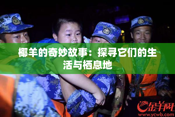 椰羊的奇妙故事：探寻它们的生活与栖息地