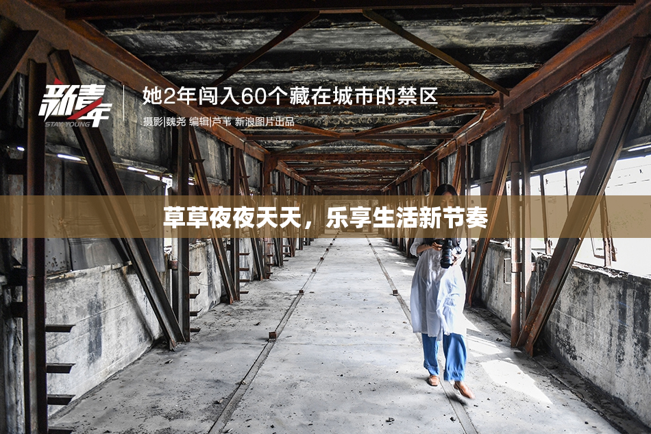 草草夜夜天天，乐享生活新节奏