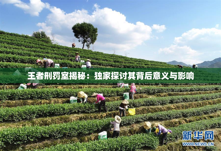 王者刑罚室揭秘：独家探讨其背后意义与影响