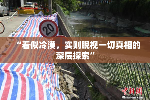 “看似冷漠，实则睨视一切真相的深层探索”