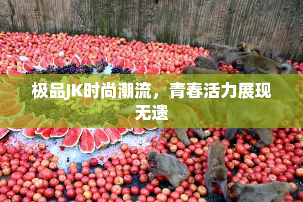 极品JK时尚潮流，青春活力展现无遗