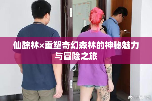 仙踪林×重塑奇幻森林的神秘魅力与冒险之旅
