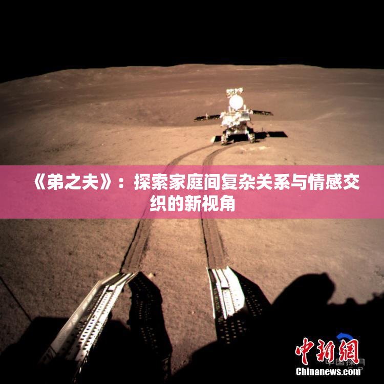 《弟之夫》：探索家庭间复杂关系与情感交织的新视角