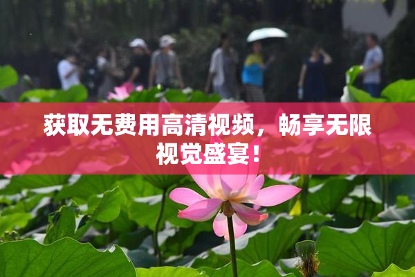 获取无费用高清视频，畅享无限视觉盛宴！