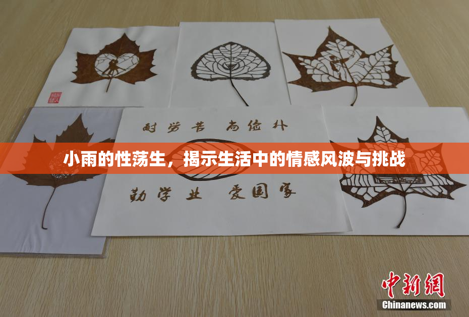 小雨的性荡生，揭示生活中的情感风波与挑战