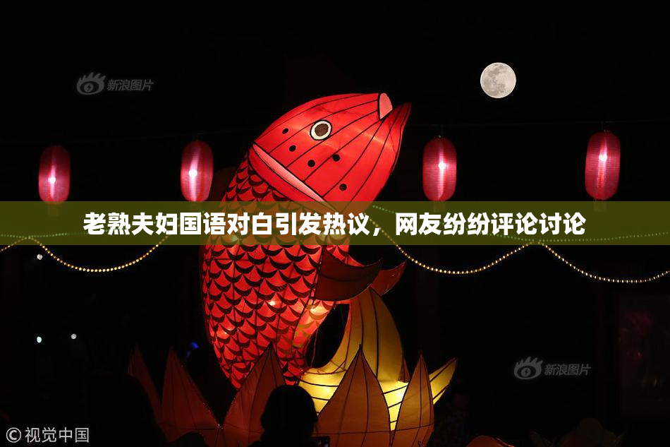 老熟夫妇国语对白引发热议，网友纷纷评论讨论