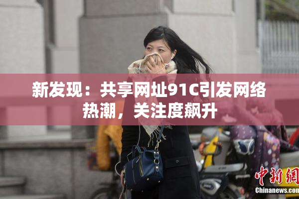 新发现：共享网址91C引发网络热潮，关注度飙升