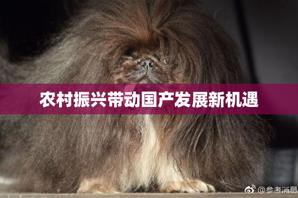 农村振兴带动国产发展新机遇