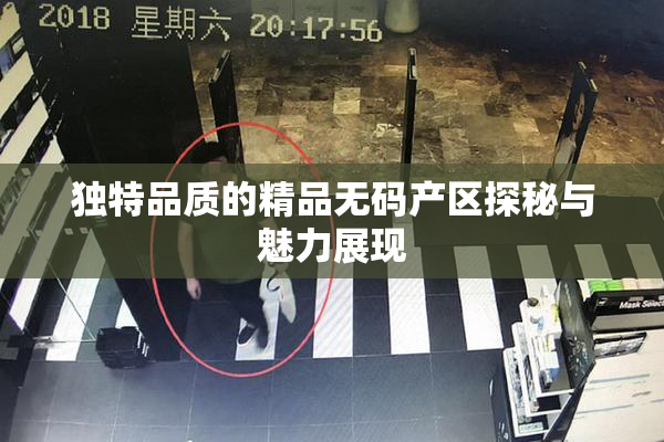 独特品质的精品无码产区探秘与魅力展现