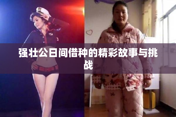 强壮公日间借种的精彩故事与挑战