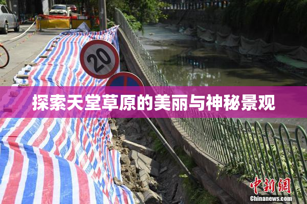 探索天堂草原的美丽与神秘景观