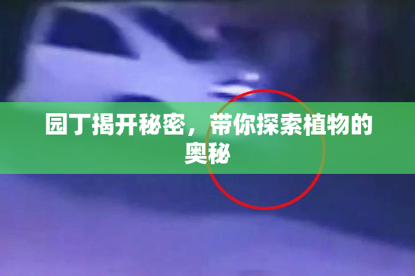 园丁揭开秘密，带你探索植物的奥秘