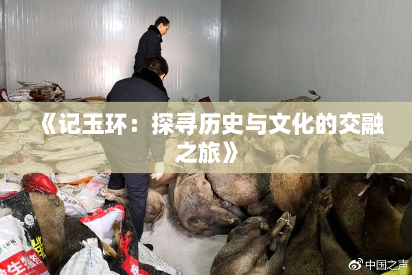 《记玉环：探寻历史与文化的交融之旅》