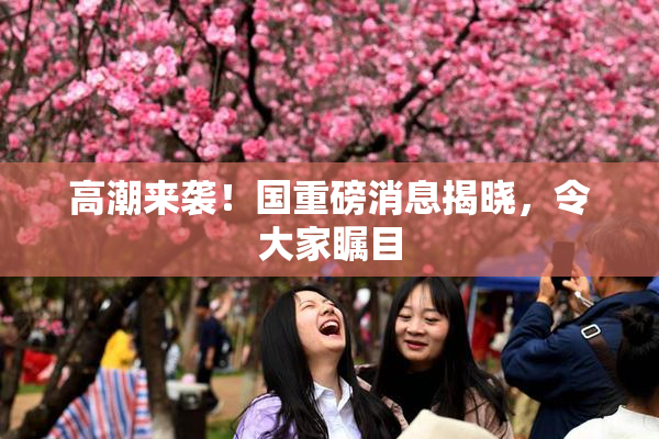 高潮来袭！国重磅消息揭晓，令大家瞩目