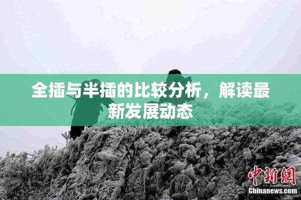 全插与半插的比较分析，解读最新发展动态