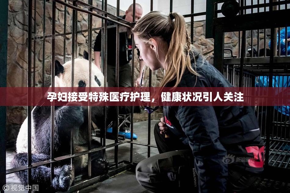 孕妇接受特殊医疗护理，健康状况引人关注