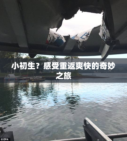 小初生？感受重返爽快的奇妙之旅