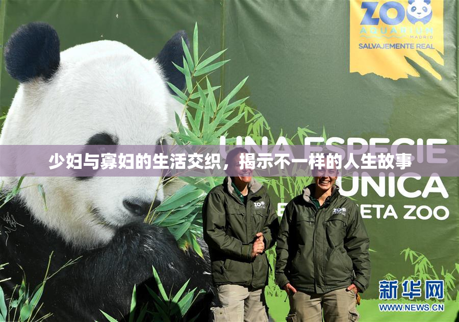 少妇与寡妇的生活交织，揭示不一样的人生故事