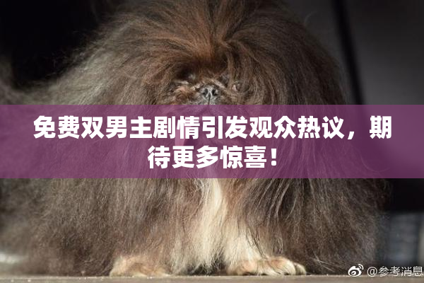 免费双男主剧情引发观众热议，期待更多惊喜！
