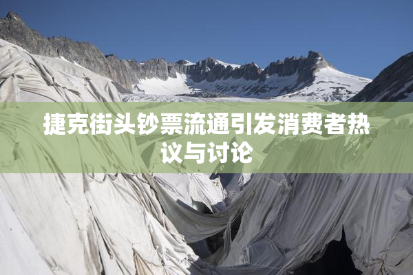 捷克街头钞票流通引发消费者热议与讨论