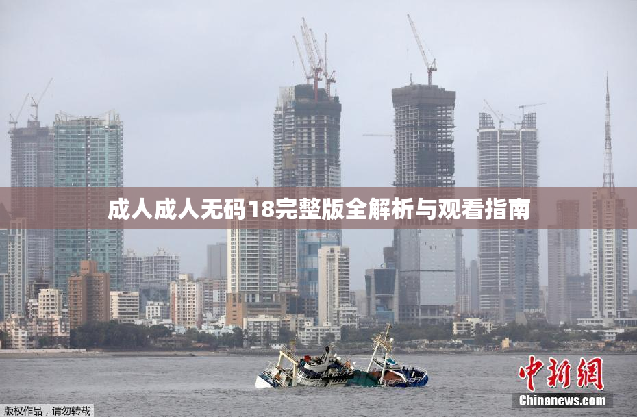 成人成人无码18完整版全解析与观看指南