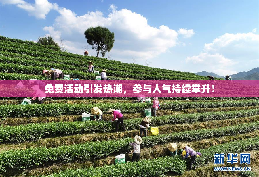 免费活动引发热潮，参与人气持续攀升！