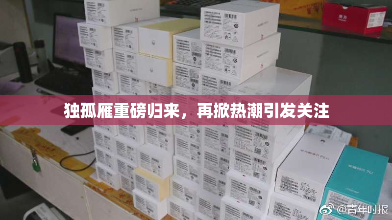独孤雁重磅归来，再掀热潮引发关注