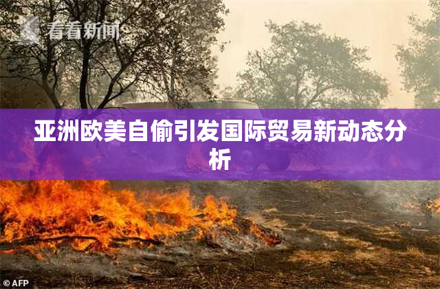 亚洲欧美自偷引发国际贸易新动态分析