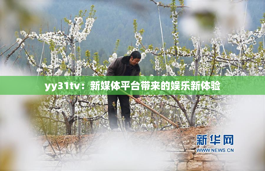 yy31tv：新媒体平台带来的娱乐新体验