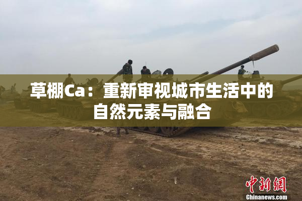 草棚Ca：重新审视城市生活中的自然元素与融合