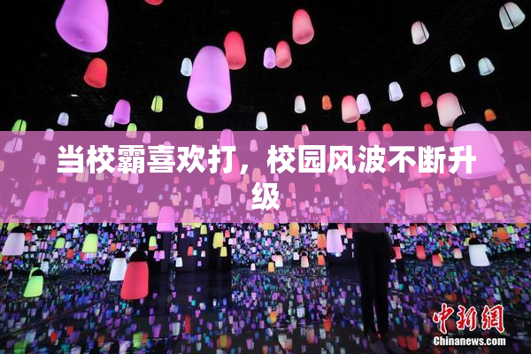 当校霸喜欢打，校园风波不断升级