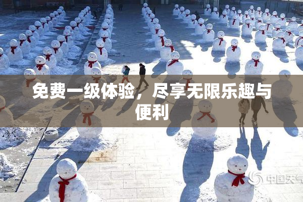 免费一级体验，尽享无限乐趣与便利