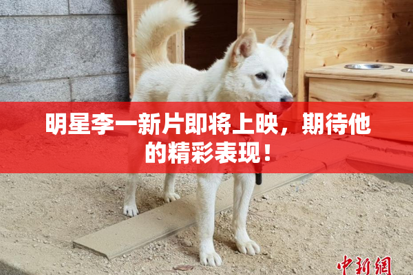 明星李一新片即将上映，期待他的精彩表现！