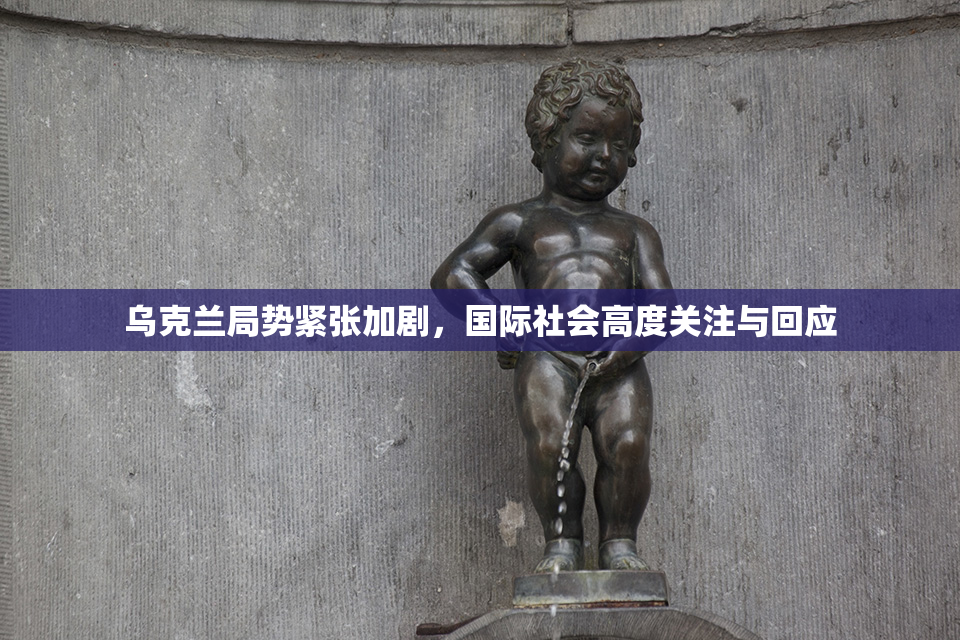 乌克兰局势紧张加剧，国际社会高度关注与回应