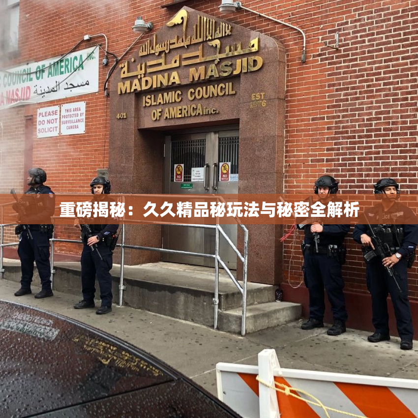 重磅揭秘：久久精品秘玩法与秘密全解析