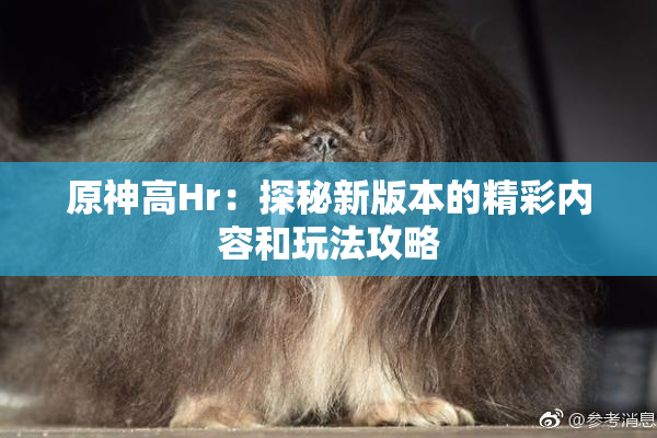 原神高Hr：探秘新版本的精彩内容和玩法攻略