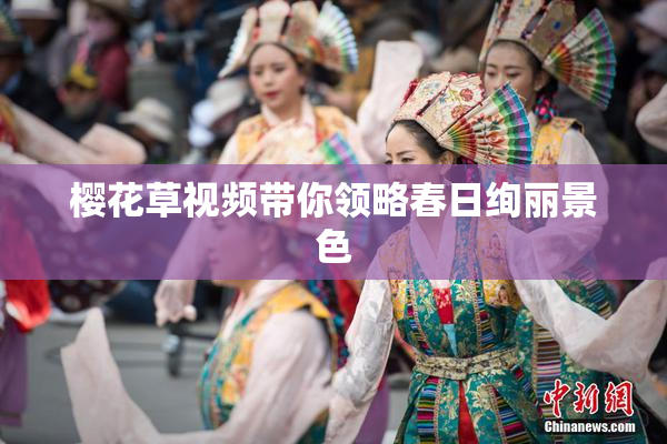 樱花草视频带你领略春日绚丽景色