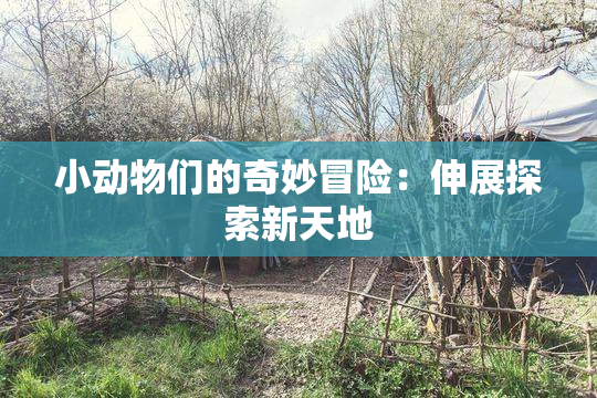 小动物们的奇妙冒险：伸展探索新天地