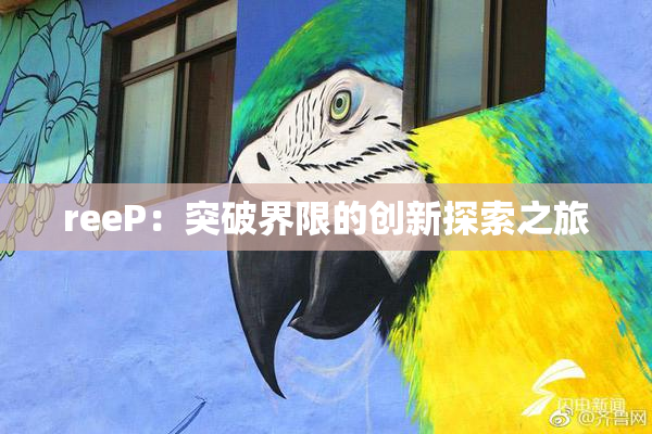 reeP：突破界限的创新探索之旅