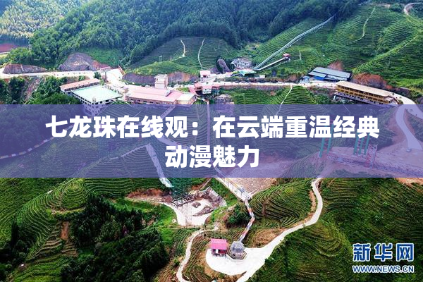 七龙珠在线观：在云端重温经典动漫魅力