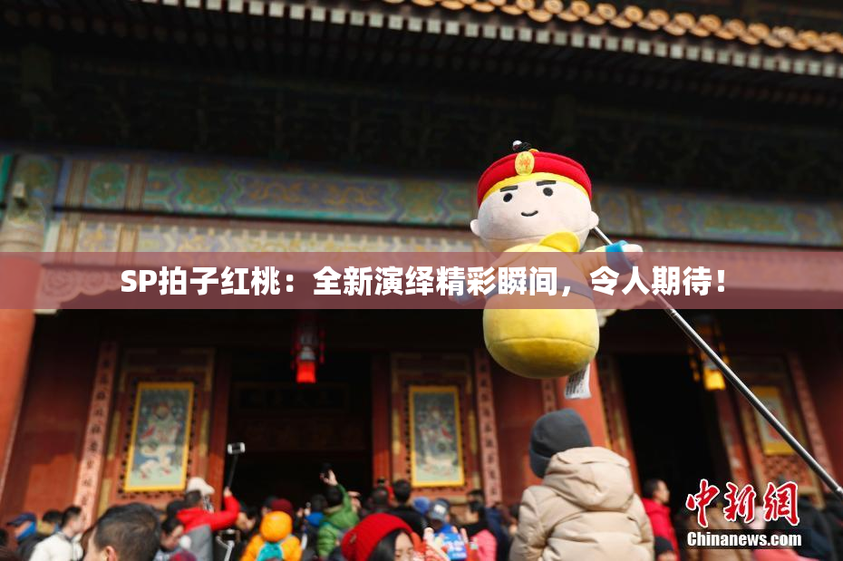 SP拍子红桃：全新演绎精彩瞬间，令人期待！
