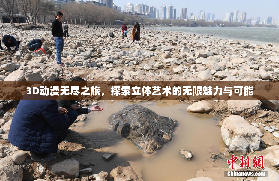 3D动漫无尽之旅，探索立体艺术的无限魅力与可能