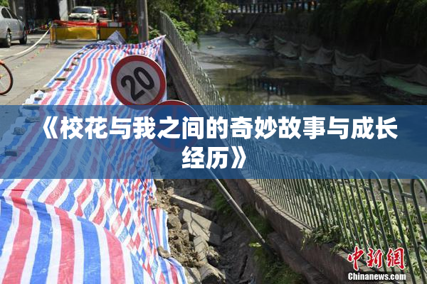 《校花与我之间的奇妙故事与成长经历》