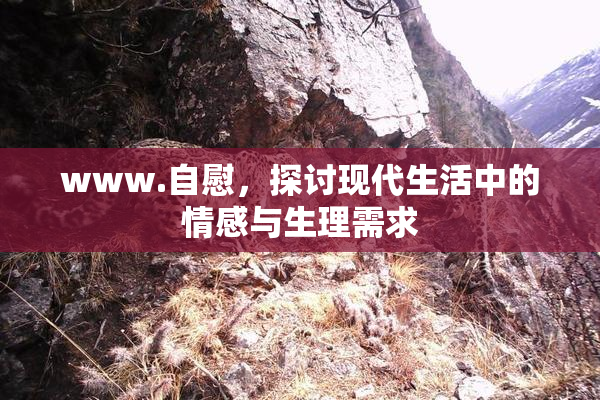 www.自慰，探讨现代生活中的情感与生理需求