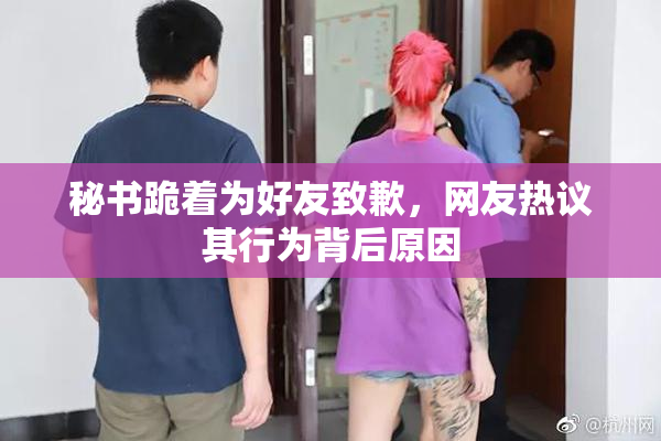 秘书跪着为好友致歉，网友热议其行为背后原因