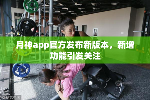 月神app官方发布新版本，新增功能引发关注